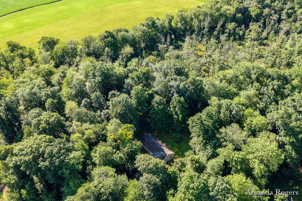 650 Parnell Avenue SE Vergennes Township MI 49331