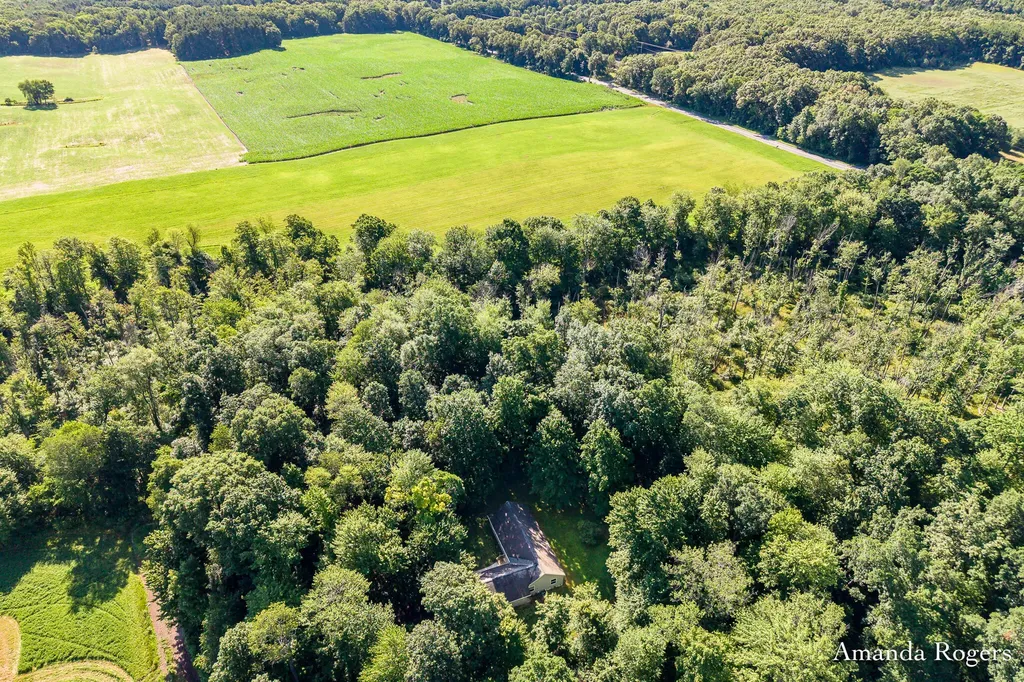 650 Parnell Avenue SE Vergennes Township MI 49331