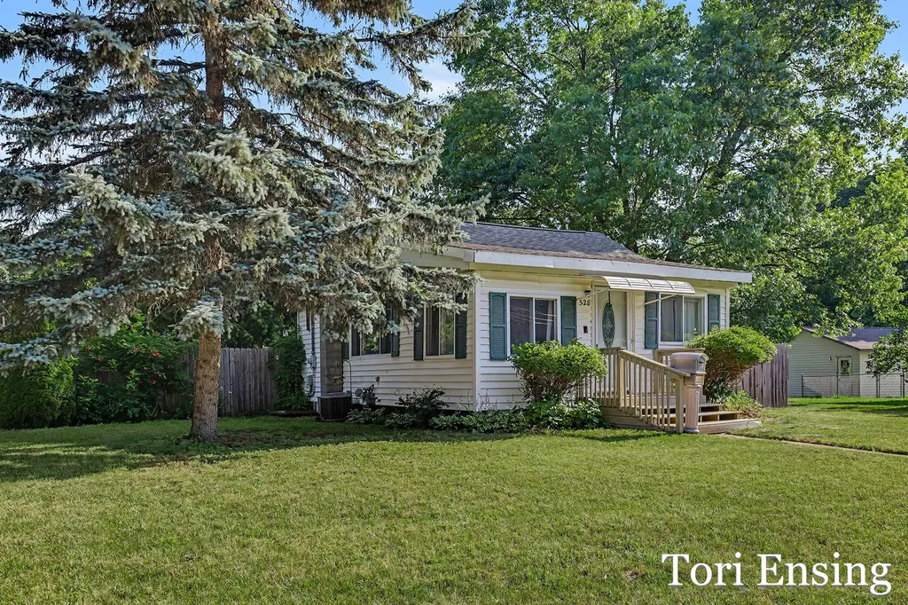 528 W Montcalm Street Greenville City MI 48838