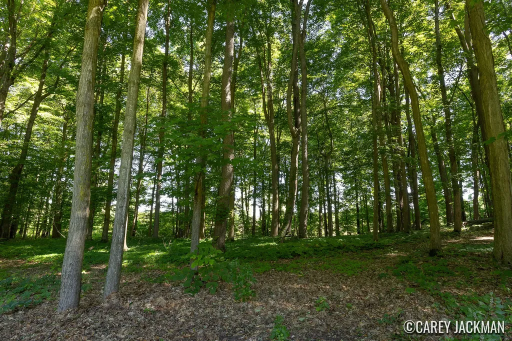 2111 Woodley Creek Court NW Alpine Township MI 49321