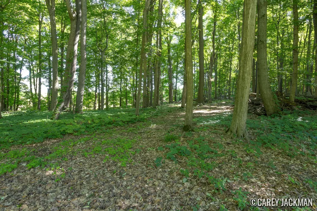 2111 Woodley Creek Court NW Alpine Township MI 49321