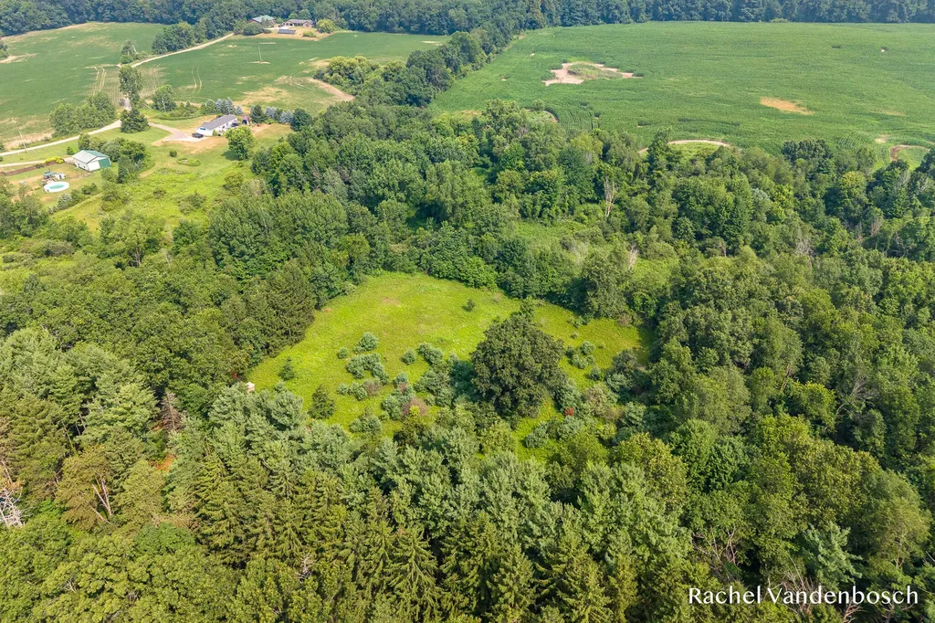 8456 Centerline Road Keene Township MI 48881