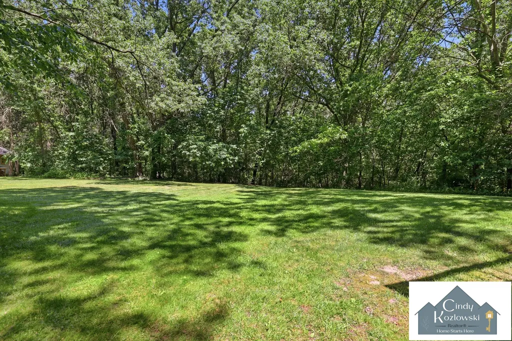 4959 Brookestone Drive NE Courtland Township MI 49341