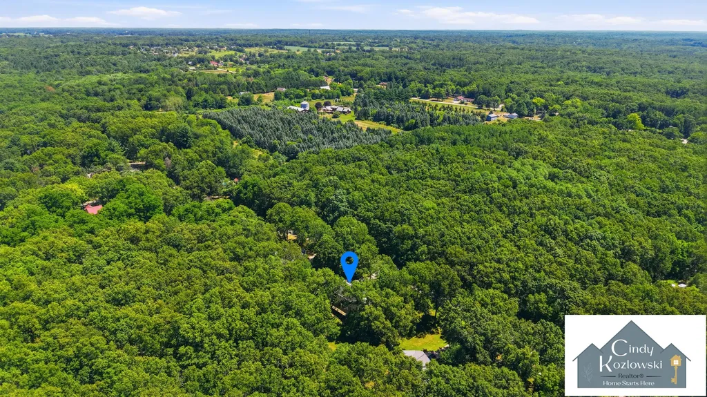 4959 Brookestone Drive NE Courtland Township MI 49341