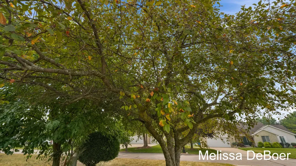 1507 Joseph Lane Georgetown Charter Township MI 49426