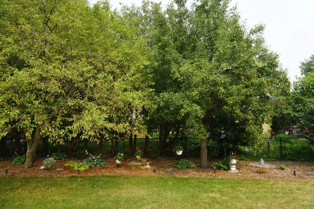 7658 Teakwood Drive Georgetown Charter Township MI 49428