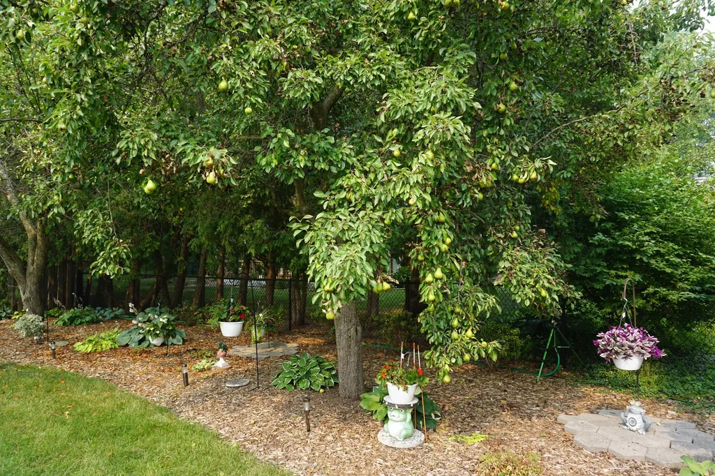 7658 Teakwood Drive Georgetown Charter Township MI 49428