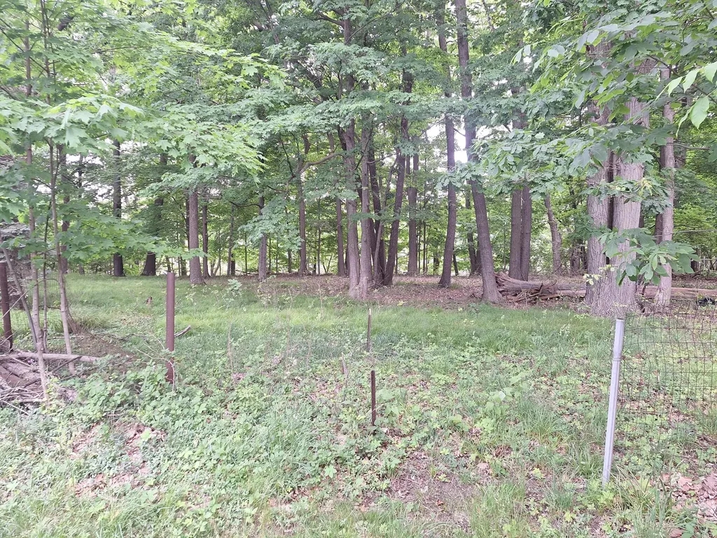 2104 Melvin Court Lansing Charter Township MI 48917