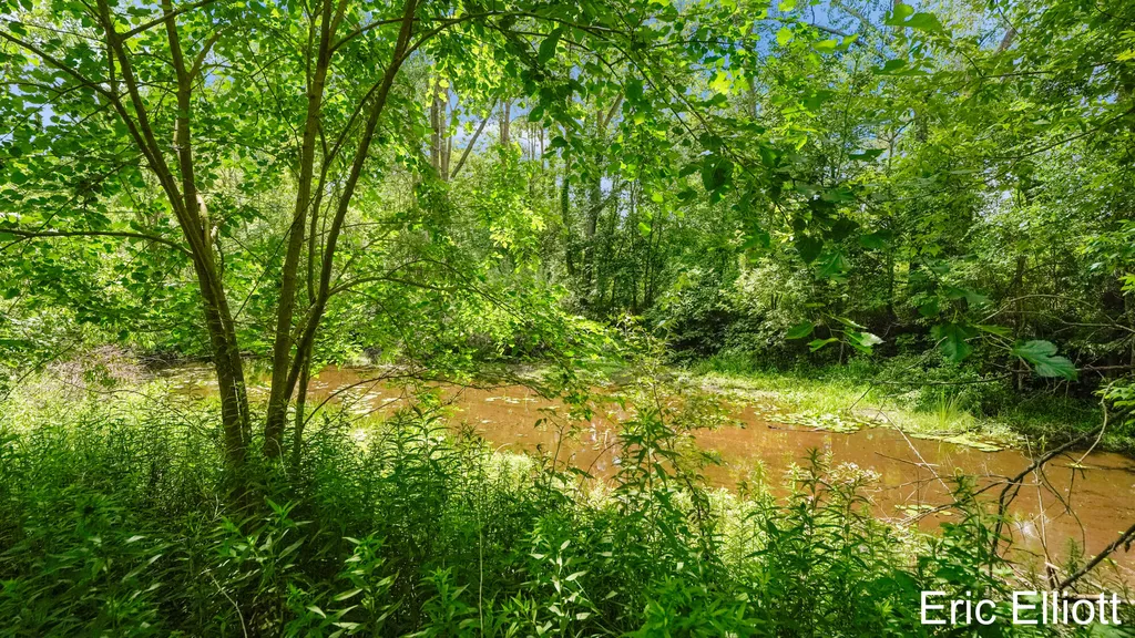 2219 Sawmill Drive NE Algoma Township MI 49341