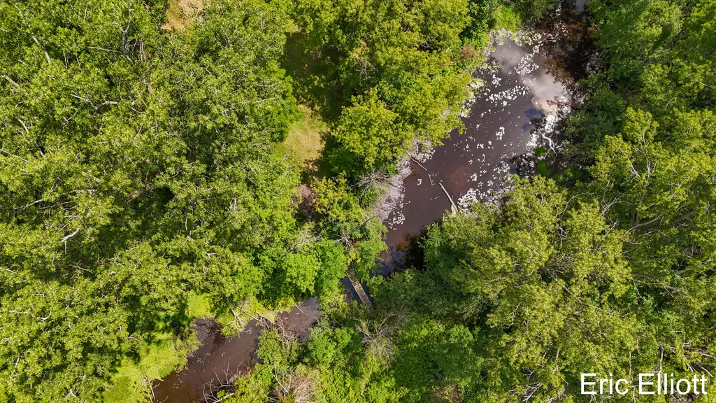 2219 Sawmill Drive NE Algoma Township MI 49341