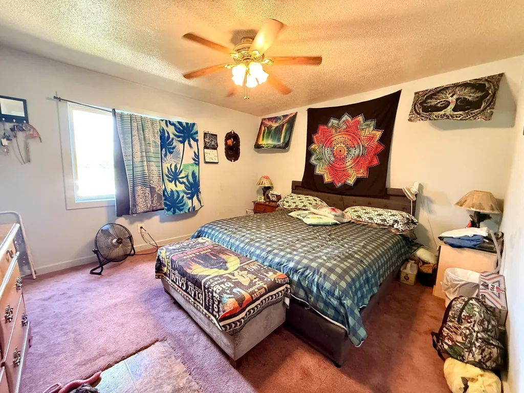 8565 S Mount Hope Road Bloomer Township MI 48811