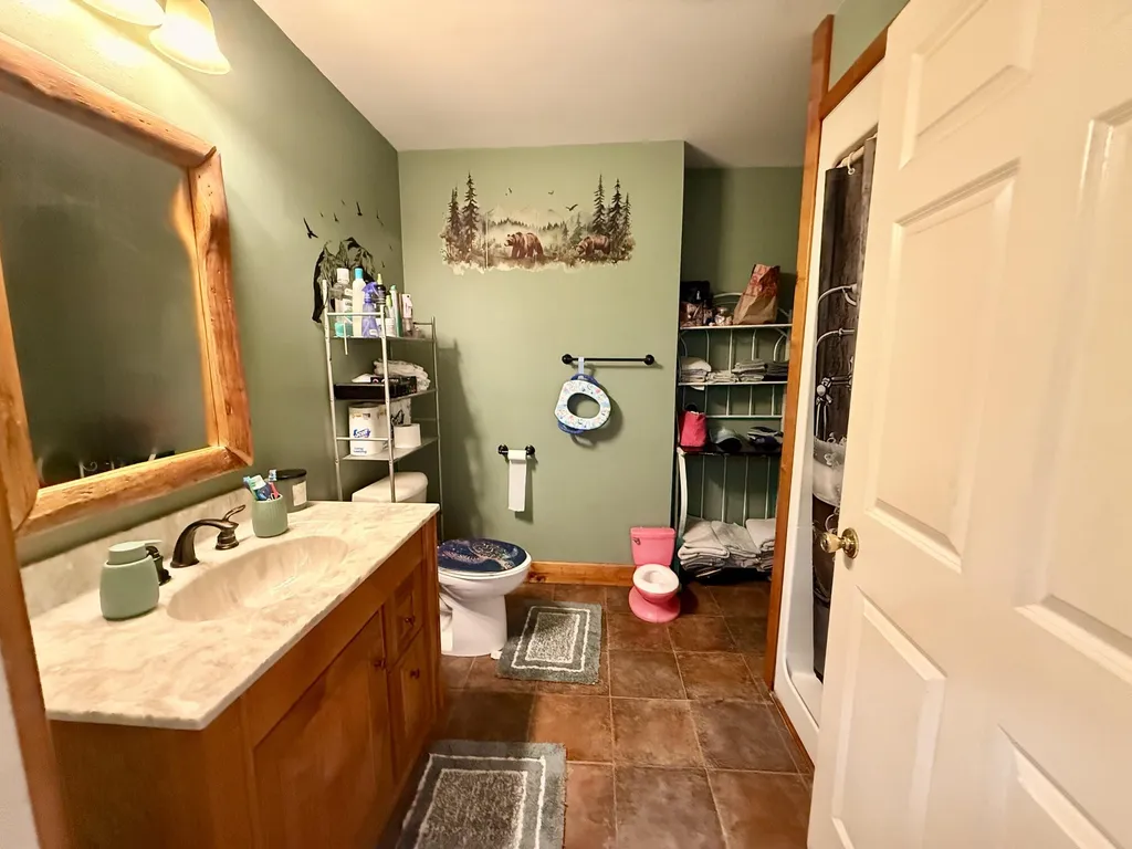 8565 S Mount Hope Road Bloomer Township MI 48811