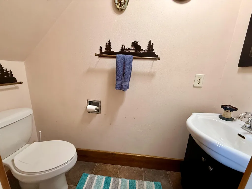 8565 S Mount Hope Road Bloomer Township MI 48811