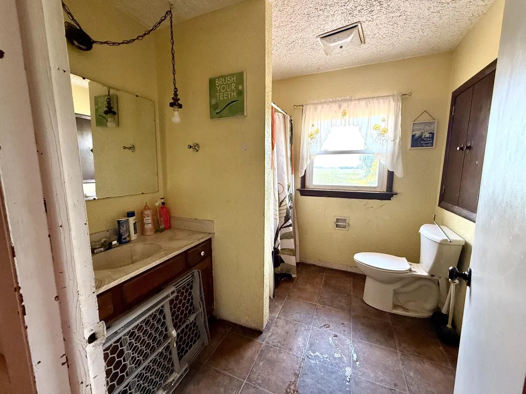 8565 S Mount Hope Road Bloomer Township MI 48811