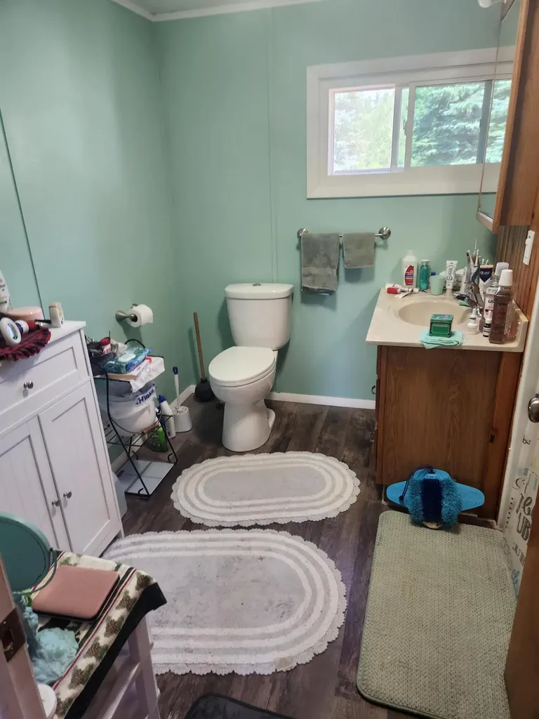 3838 Pine Trail Evergreen Township MI 48884