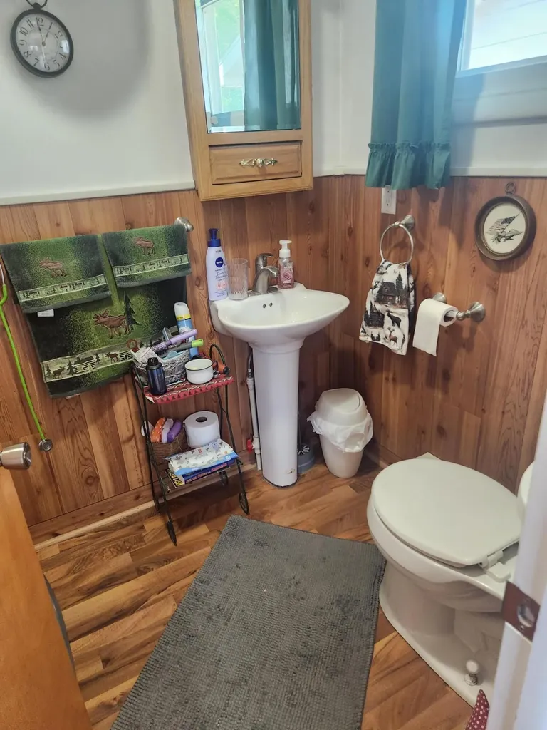 3838 Pine Trail Evergreen Township MI 48884