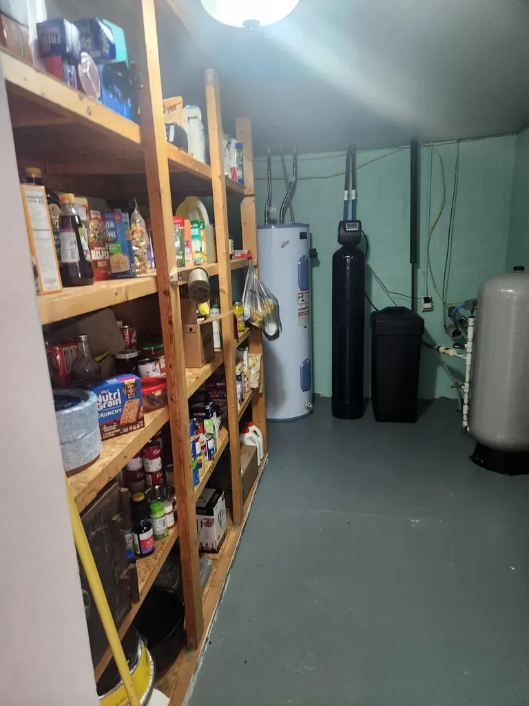 3838 Pine Trail Evergreen Township MI 48884