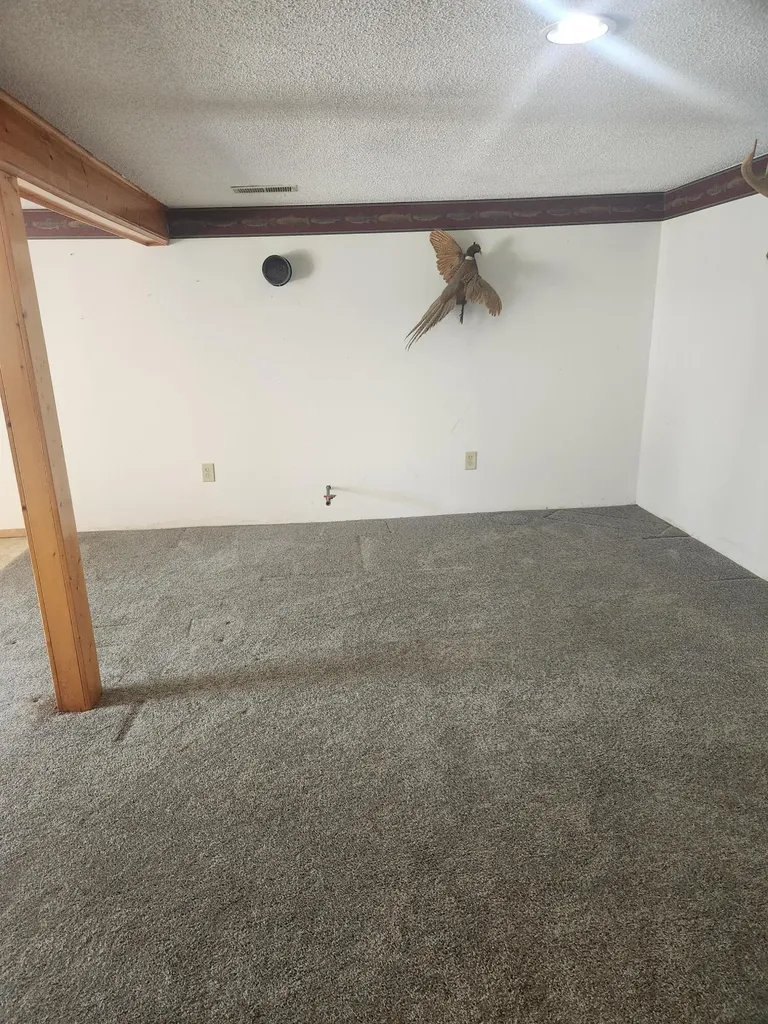 3838 Pine Trail Evergreen Township MI 48884