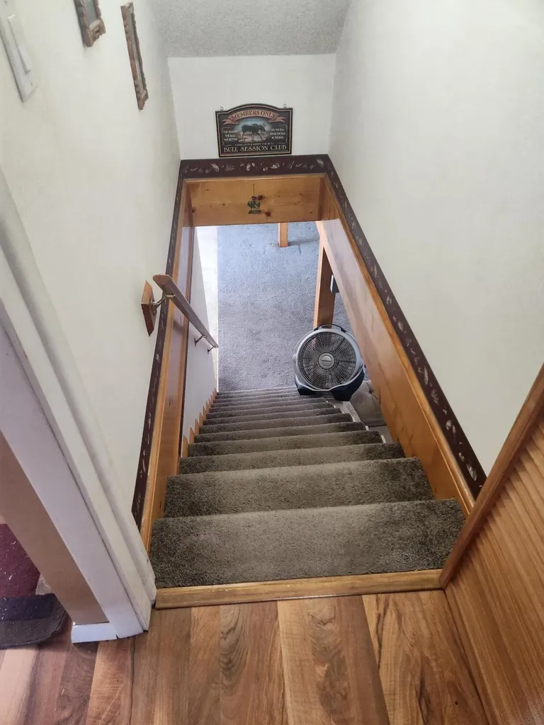 3838 Pine Trail Evergreen Township MI 48884