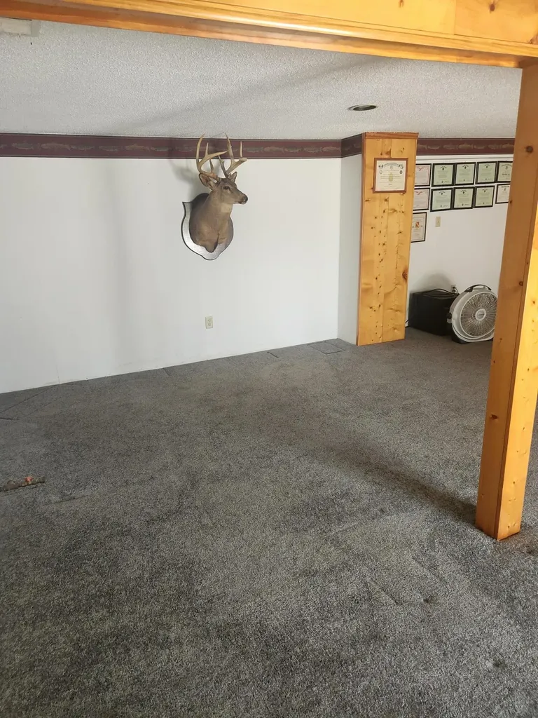 3838 Pine Trail Evergreen Township MI 48884