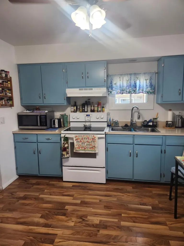 3838 Pine Trail Evergreen Township MI 48884
