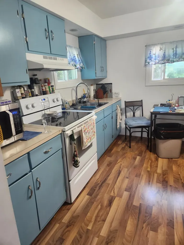 3838 Pine Trail Evergreen Township MI 48884
