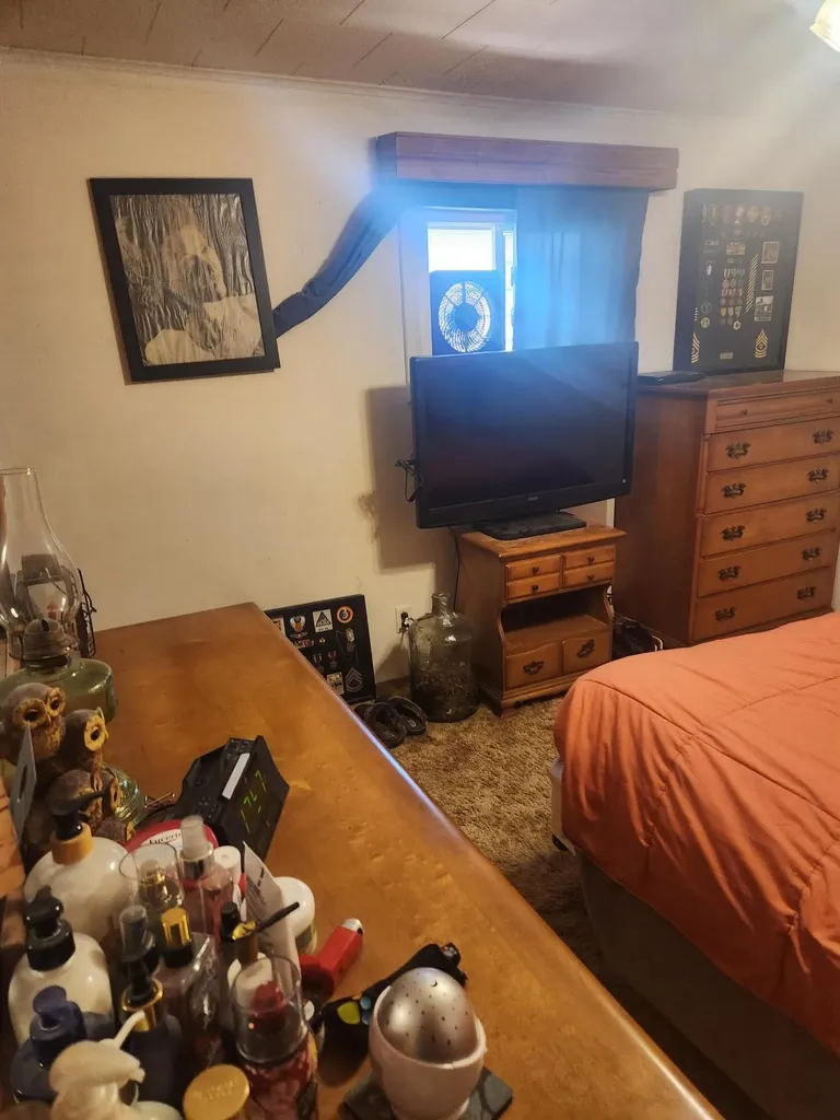 3838 Pine Trail Evergreen Township MI 48884