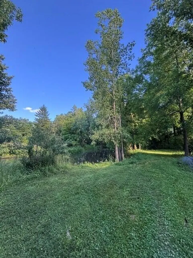 1980 112th Avenue Watson Township MI 49078