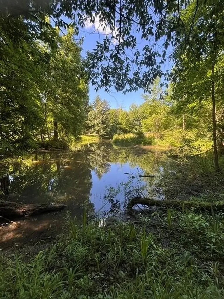 1980 112th Avenue Watson Township MI 49078