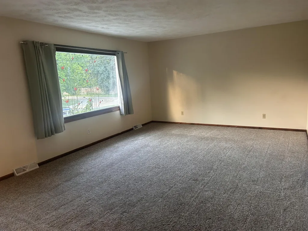 2937 Pearl Street Orleans Township MI 48865