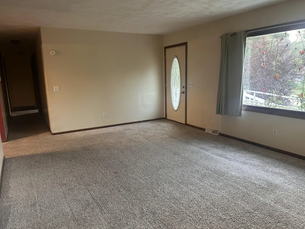 2937 Pearl Street Orleans Township MI 48865