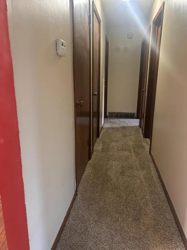 2937 Pearl Street Orleans Township MI 48865