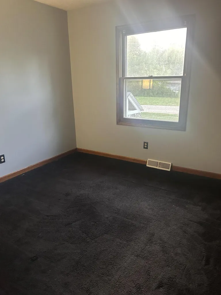 2937 Pearl Street Orleans Township MI 48865