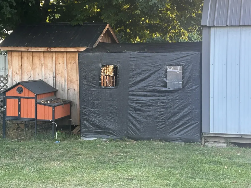 2937 Pearl Street Orleans Township MI 48865