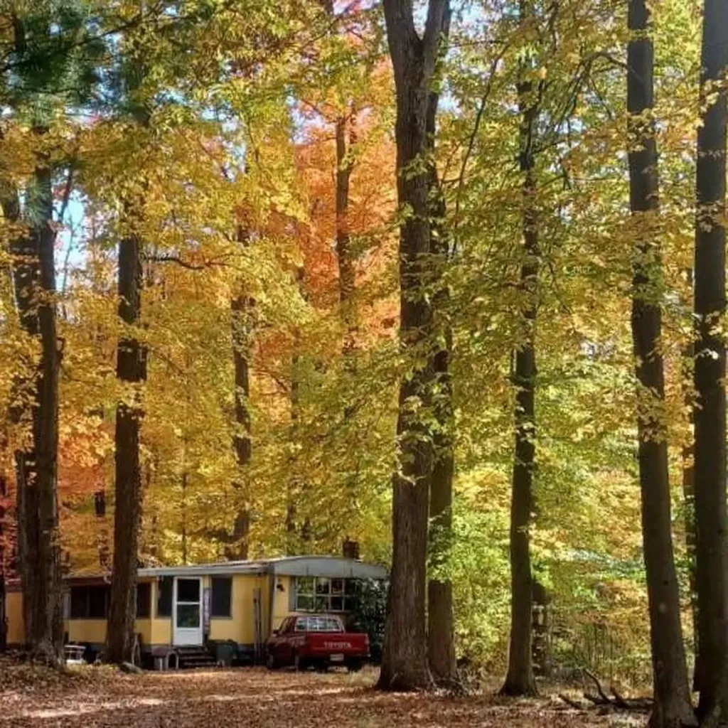 2776 19 Mile Road NE Solon Township MI 49319