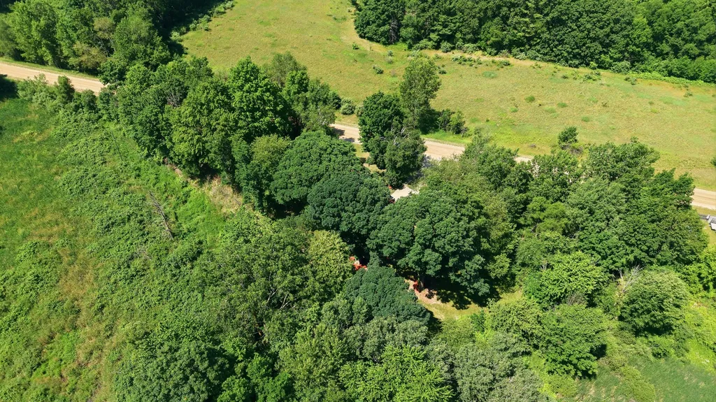 4050 N Johnson Road Pine Township MI 49322