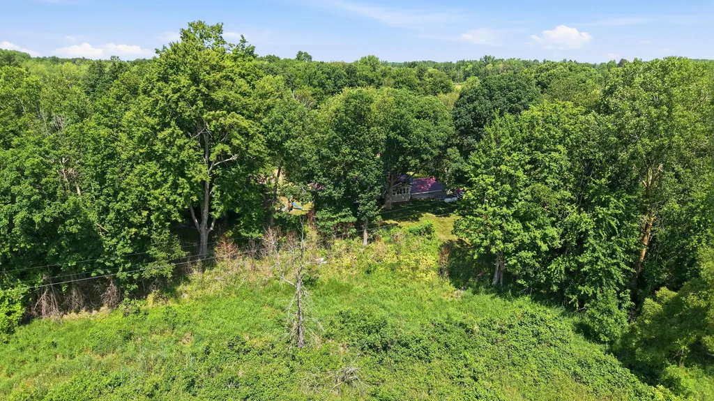 4050 N Johnson Road Pine Township MI 49322