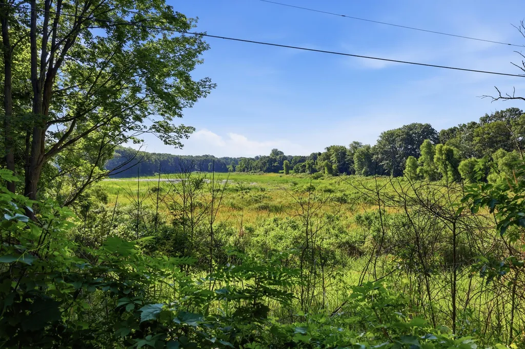4050 N Johnson Road Pine Township MI 49322