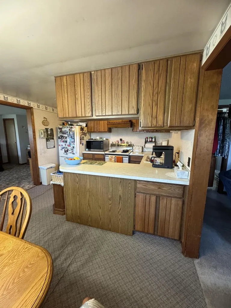 1247 N Steel Road Jonesfield Township MI 48637