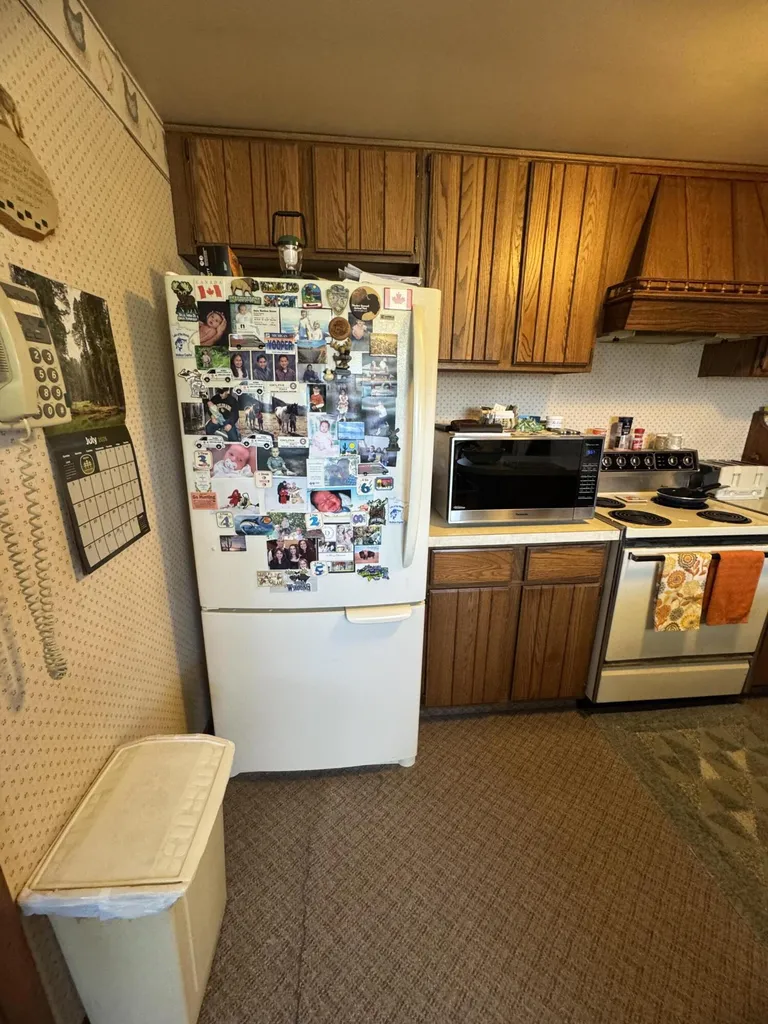 1247 N Steel Road Jonesfield Township MI 48637