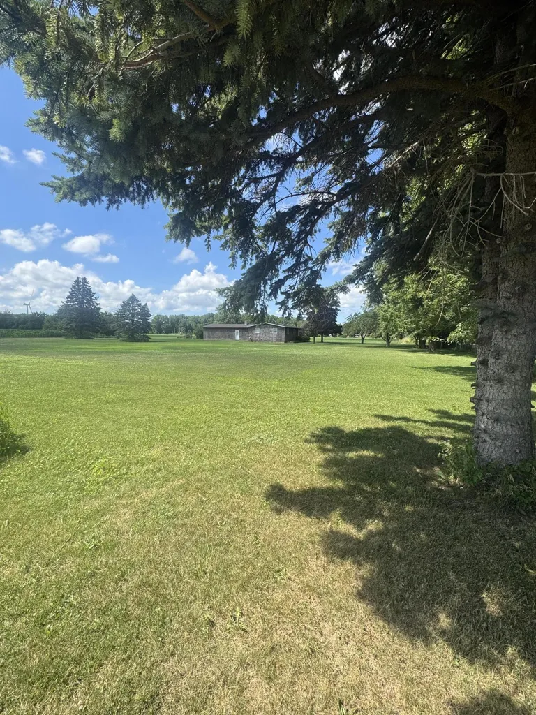 1247 N Steel Road Jonesfield Township MI 48637