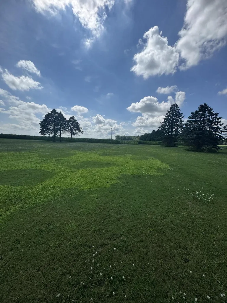 1247 N Steel Road Jonesfield Township MI 48637