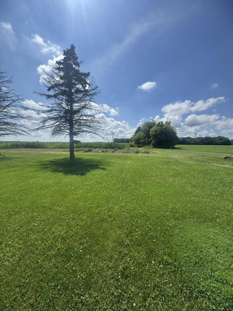 1247 N Steel Road Jonesfield Township MI 48637