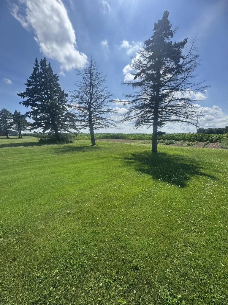 1247 N Steel Road Jonesfield Township MI 48637