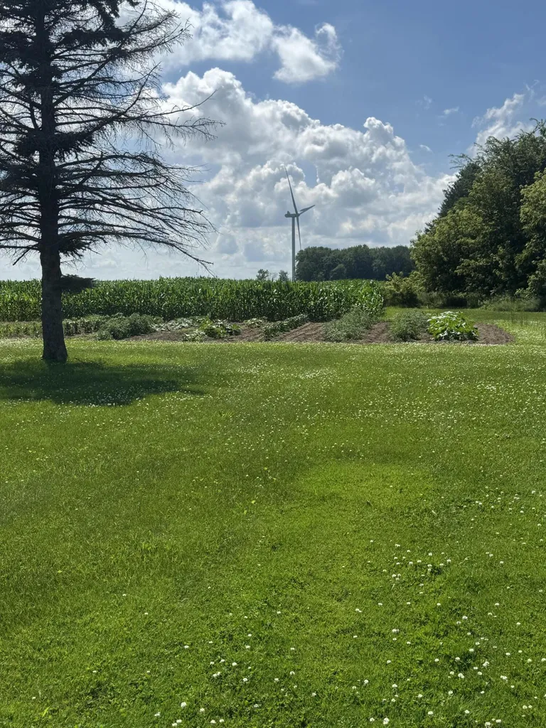 1247 N Steel Road Jonesfield Township MI 48637