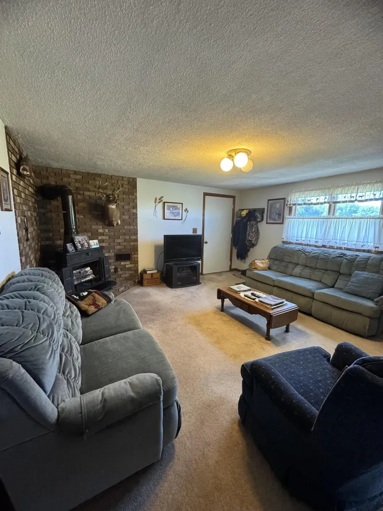 1247 N Steel Road Jonesfield Township MI 48637