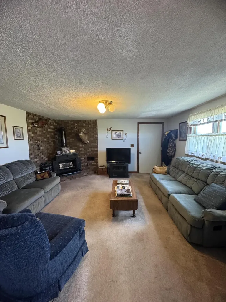 1247 N Steel Road Jonesfield Township MI 48637