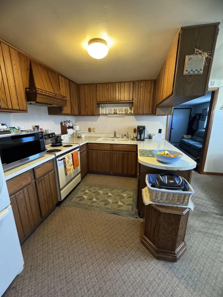 1247 N Steel Road Jonesfield Township MI 48637