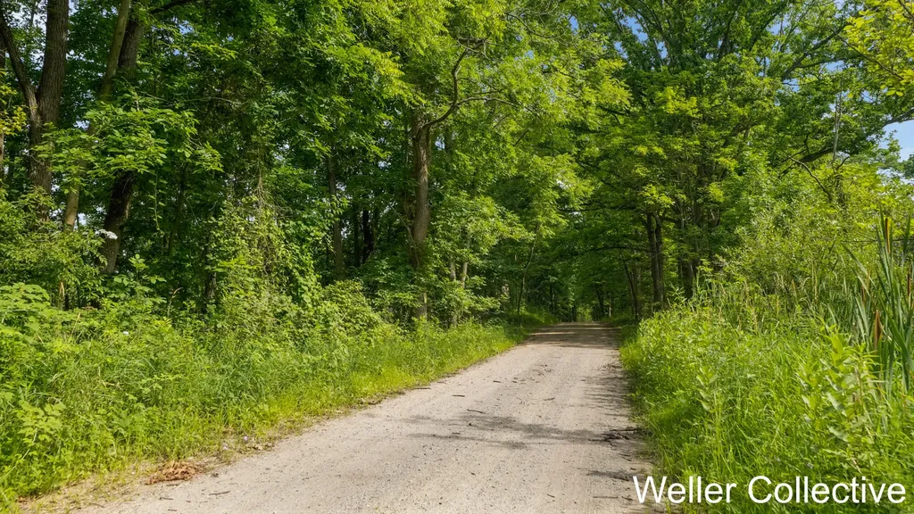 13399 Wing Road Assyria Township MI 49021