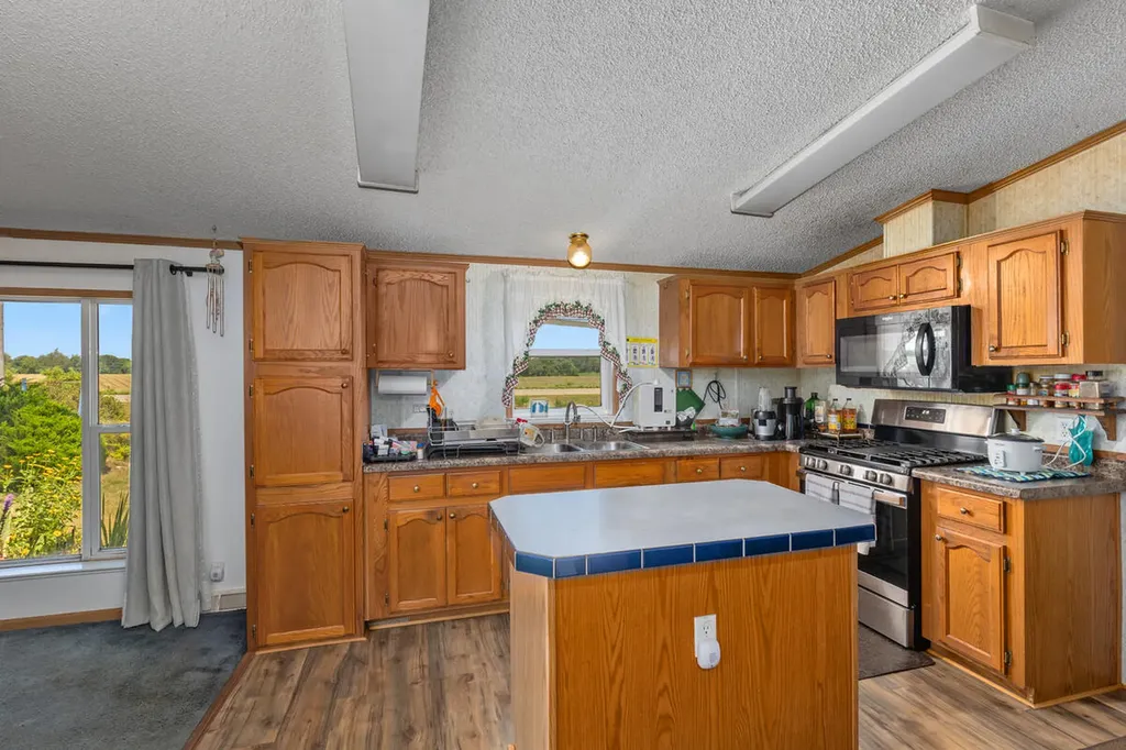3839 Belding Road Orleans Township MI 48809